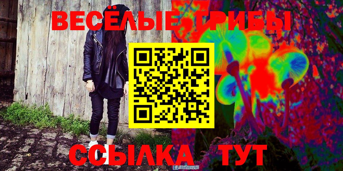 Галлюциногенные грибы Psilocybine cubensis  Псилоцибиновые грибы Cubensis  Вход с VPN  Долгопрудный 